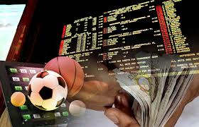 The Rise of Online Betting Exploring Meda Bet